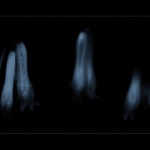album: Asociácie fotka: Klebety