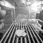 Fifth Avenue