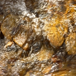 Potok