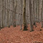 vycházka3