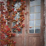 Bydlí tady Růženka?