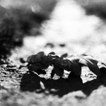 přeběhl mi přes cestu