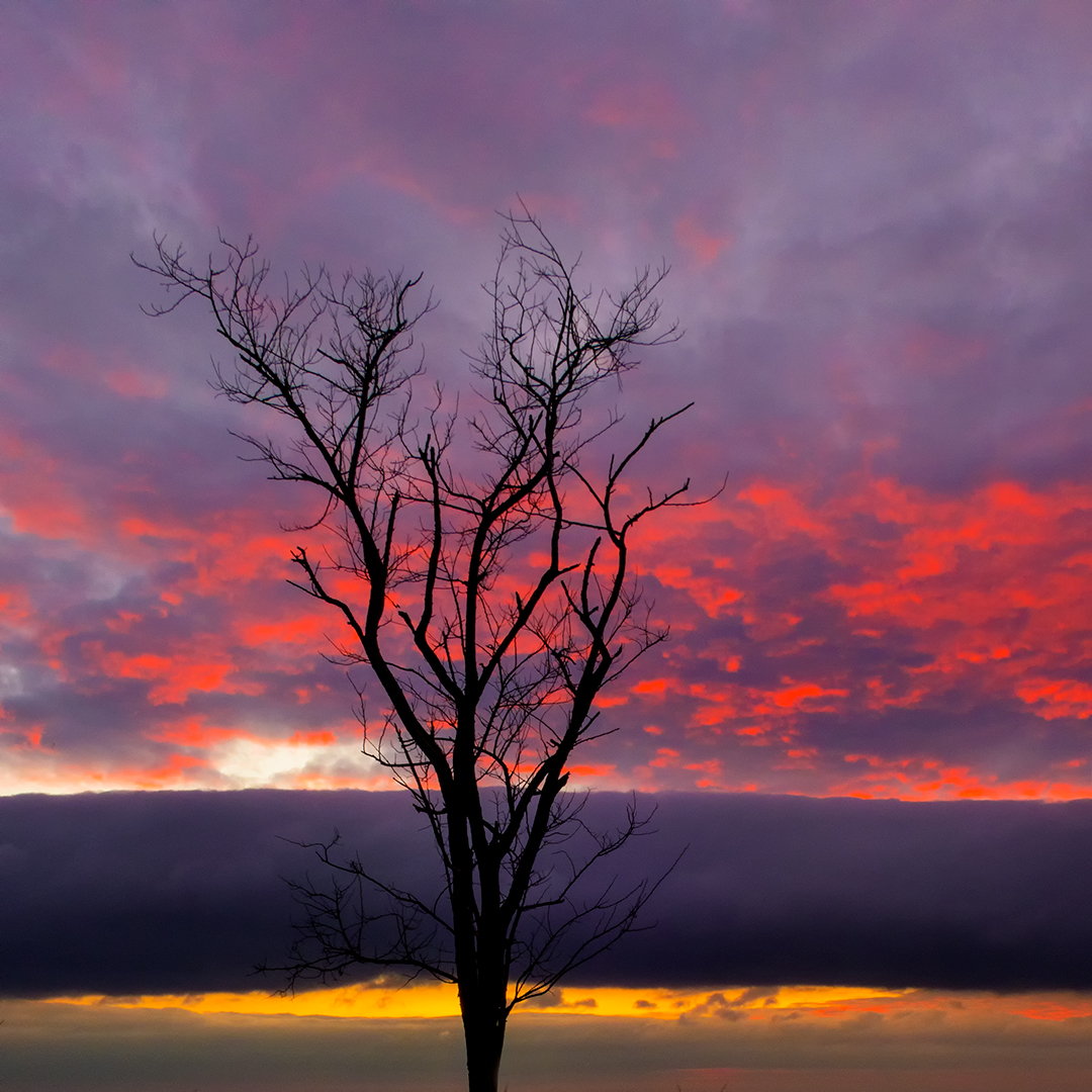 United Colors of Nature