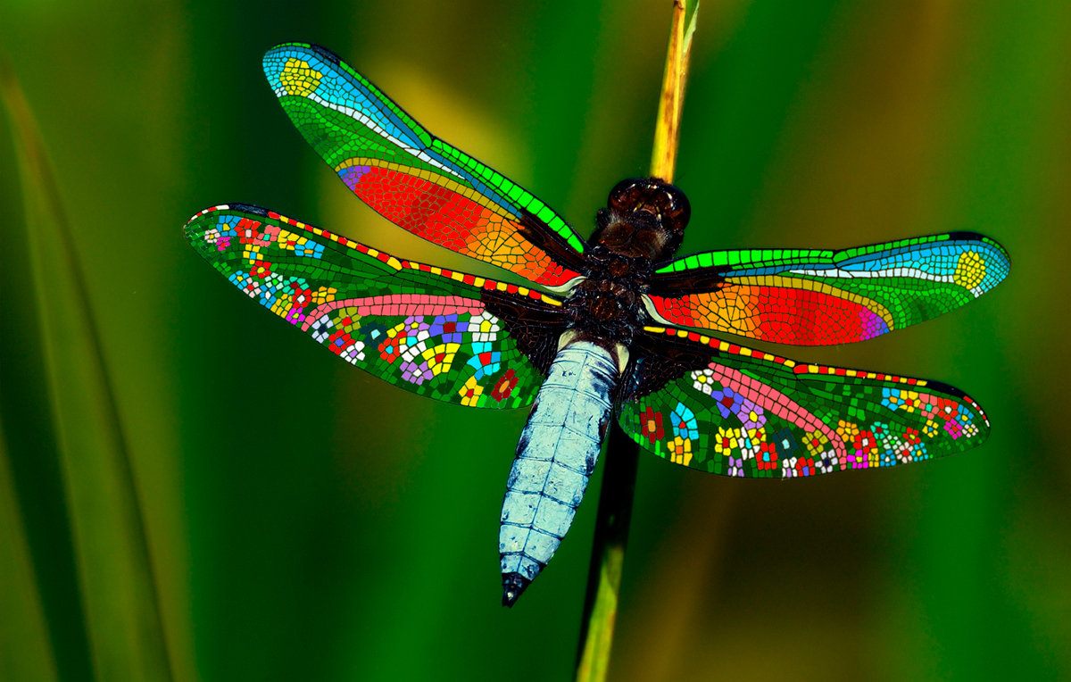 Let your minds be free