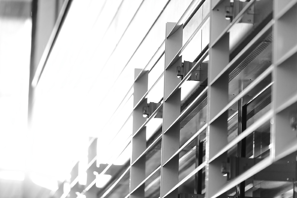 ||| ||||