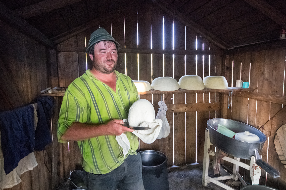 Cheese maker
