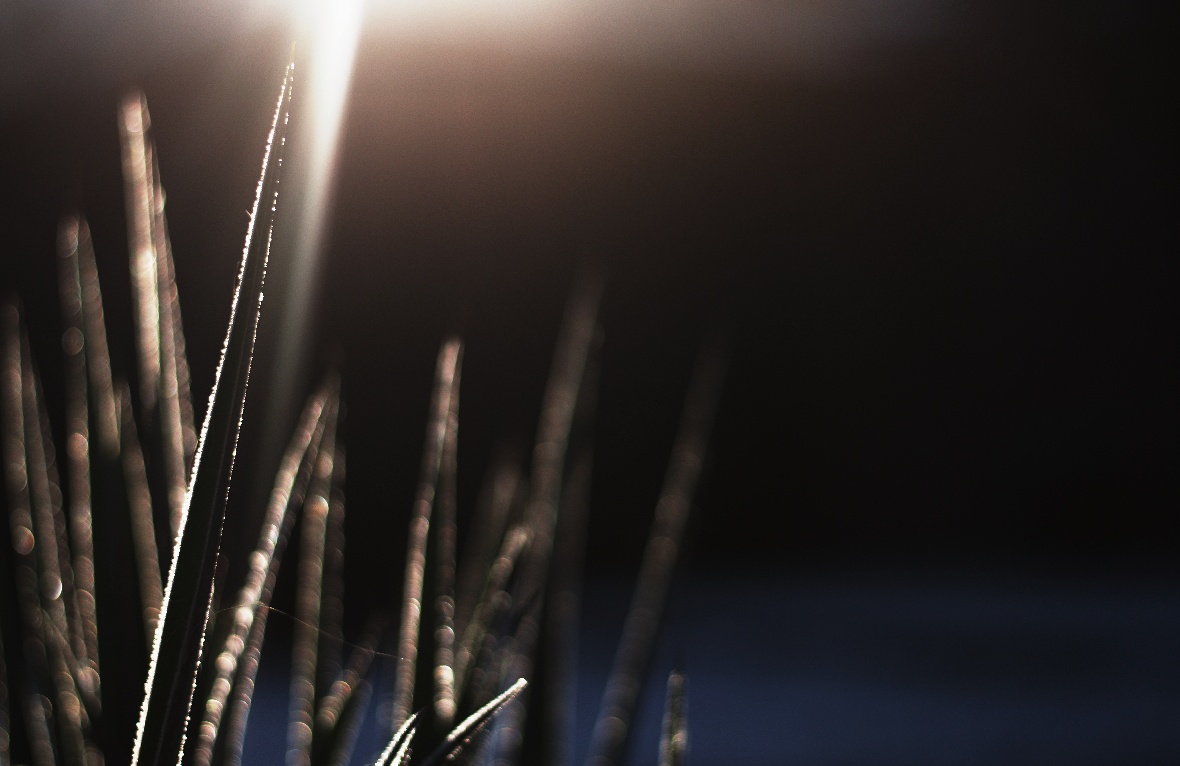 Malá hvězdná válka