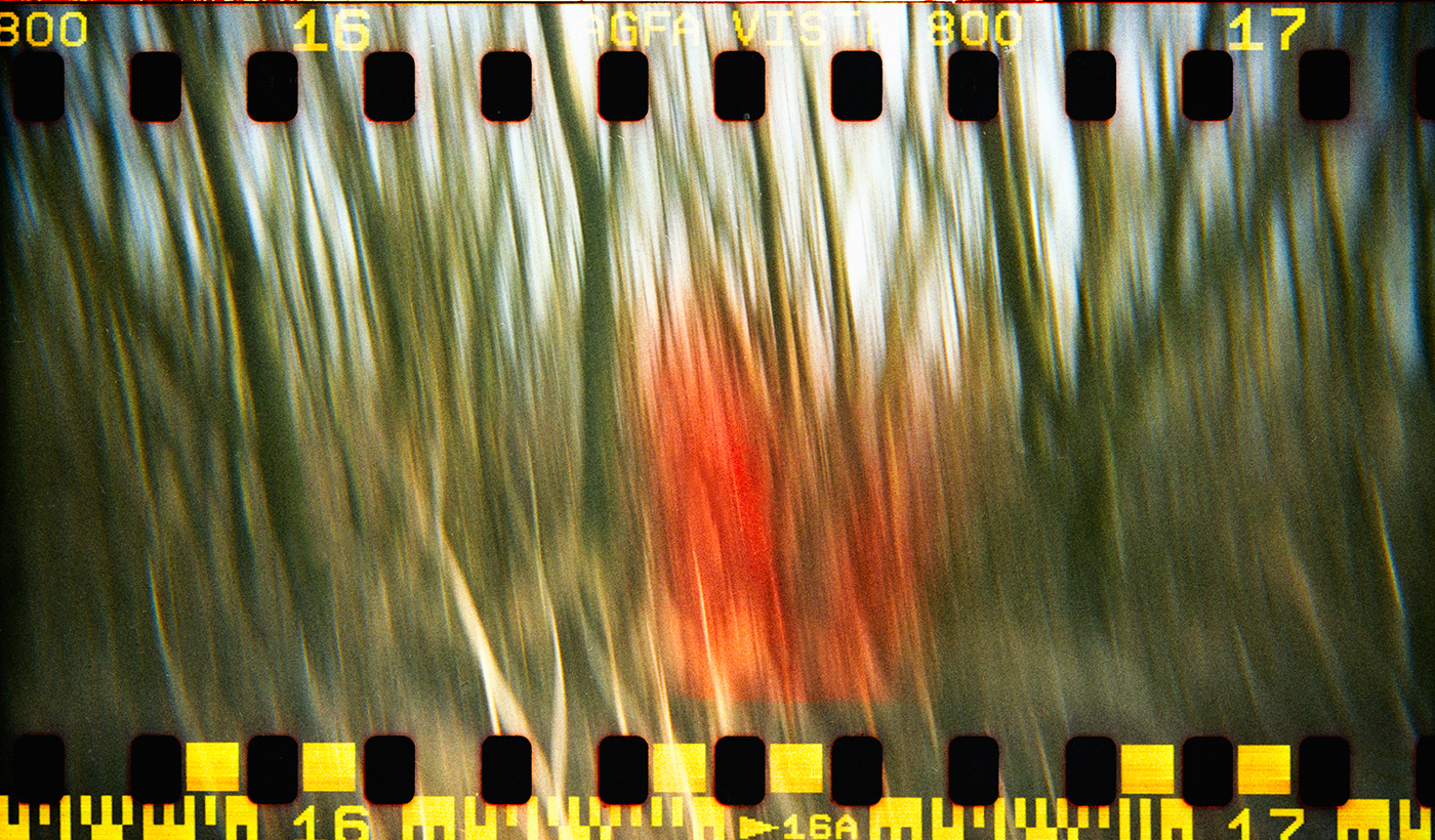 o červenej karkulke