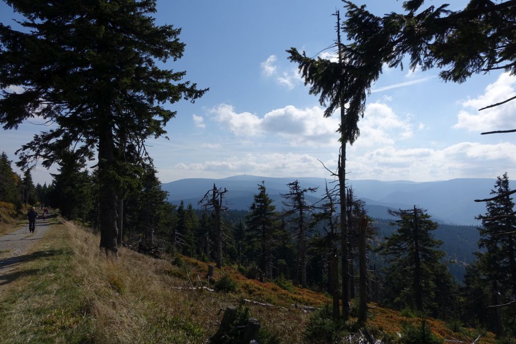 Praděd od vřesové studánky