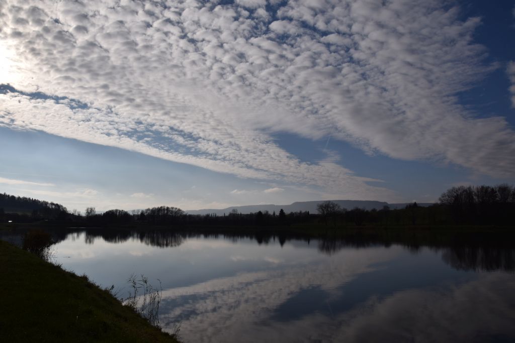Boršák