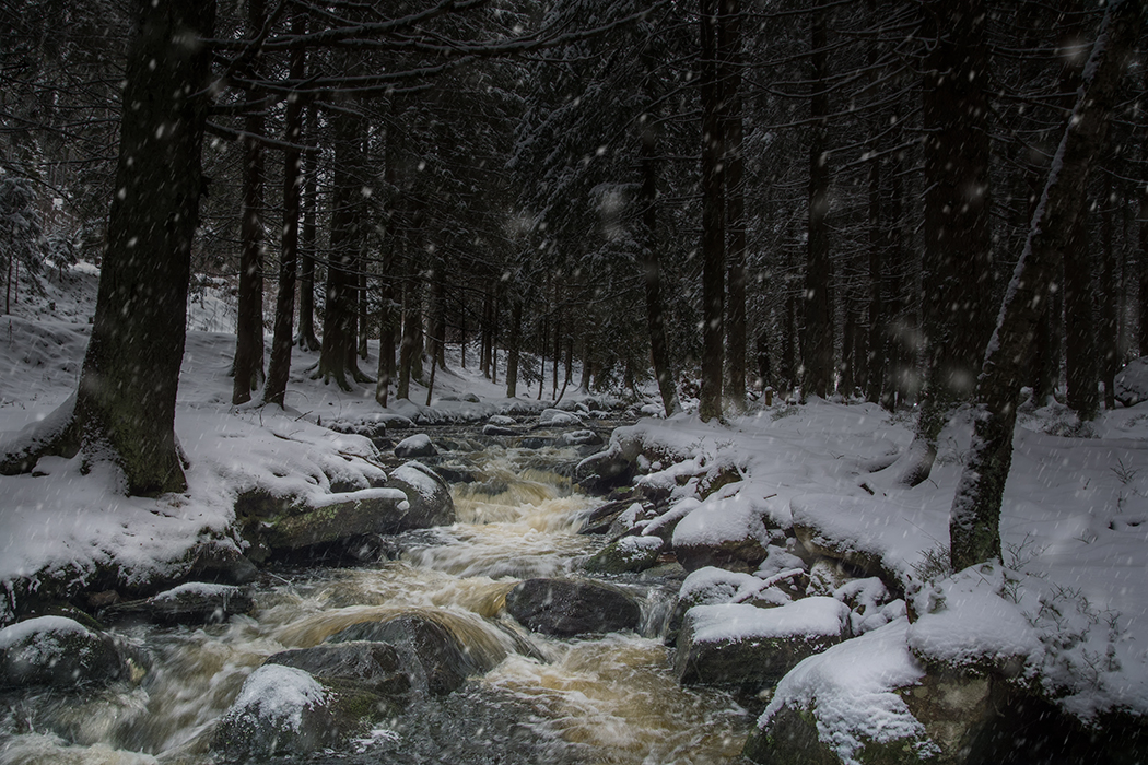 Šumava dnů minulých