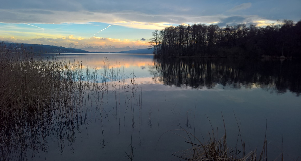 Podvečerní imprese