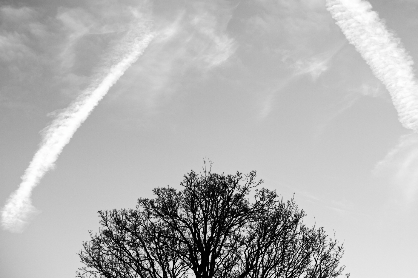 s1