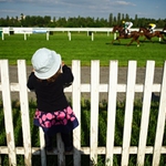 Den na dostizích (i)