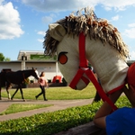 Den na dostizích (ii)