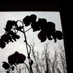 nic není černonbílé