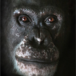 Tvář naší praprapratety