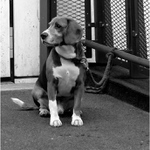 ..ty jsi na mě zapomněl!?