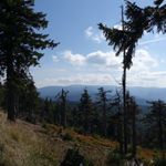 Praděd od vřesové studánky