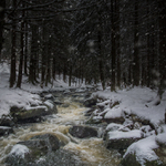 Šumava dnů minulých
