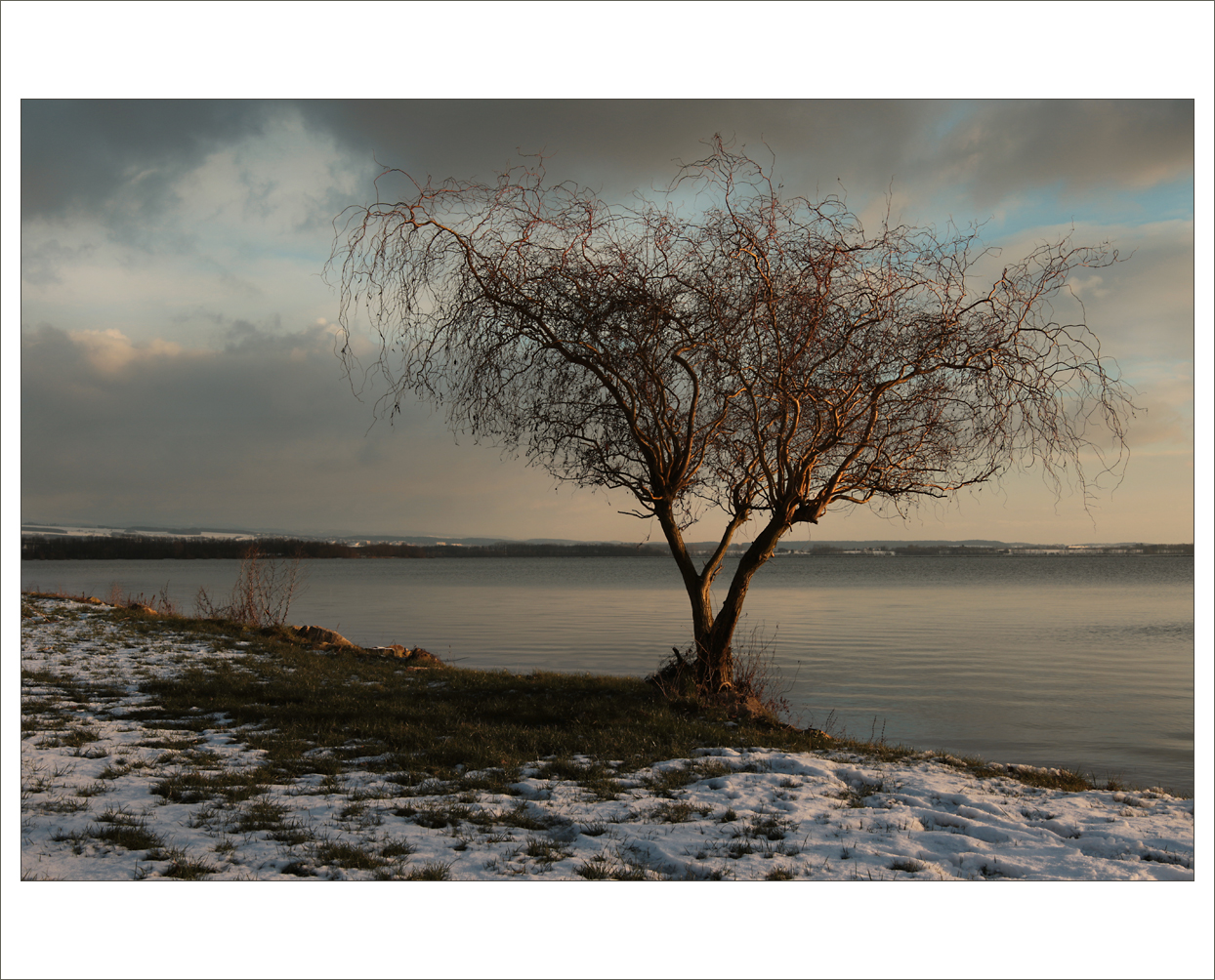 Podvečer u rybníka