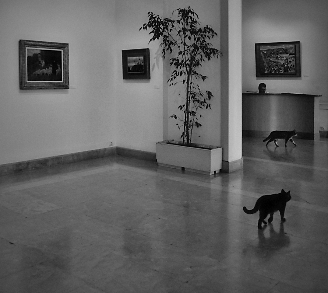 návštevníci galérie