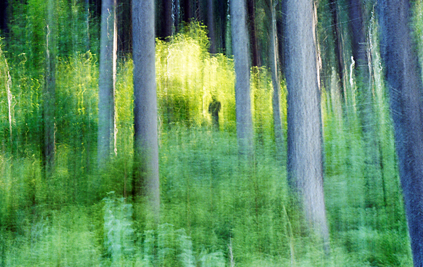 2krajiny # anjel lesa