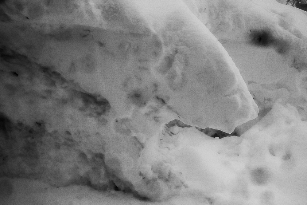polarni      m .... d
