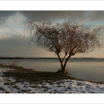 Podvečer u rybníka