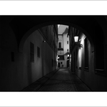 Z večerní procházky