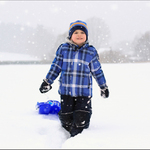 Nešťastný bobista aneb každý táhnem svoji káru