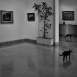 návštevníci galérie