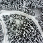 Winter Rally Pfaffensattel