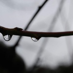 Svět v jedné kapce