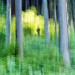 2krajiny # anjel lesa