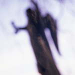 hľadanie anjelov # 2