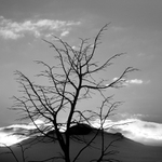 pozdrav z olympiady