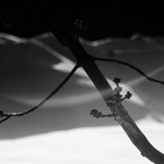 pred-jarni fidlovacka