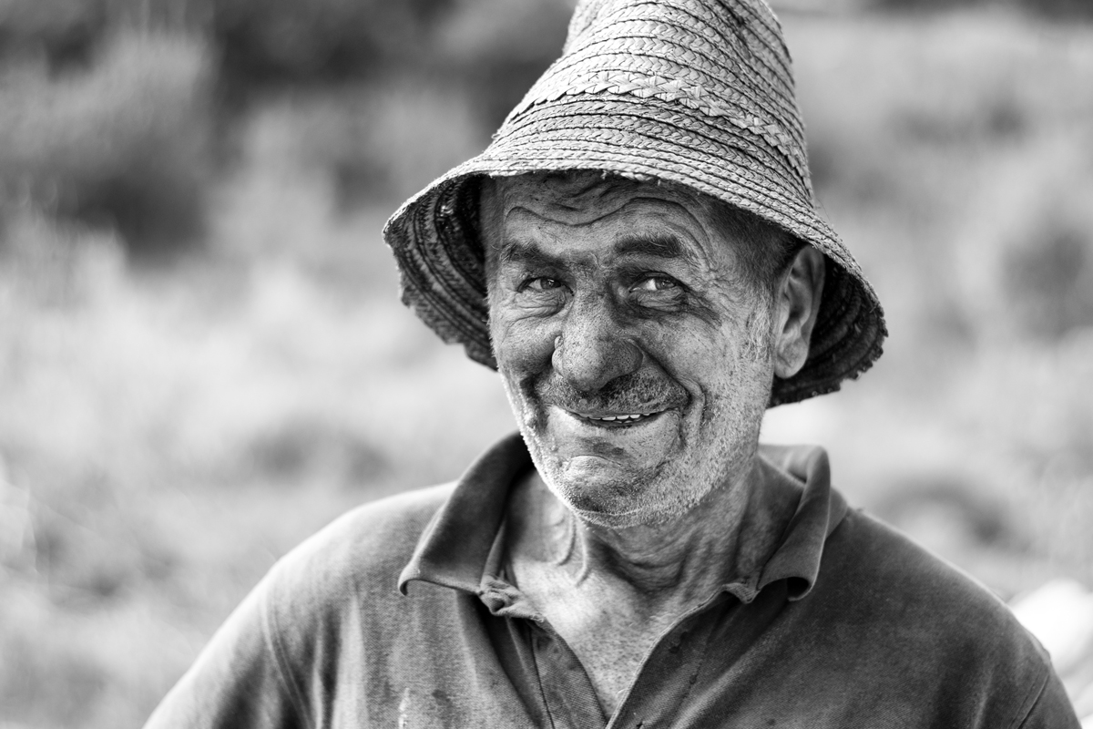 Šibal