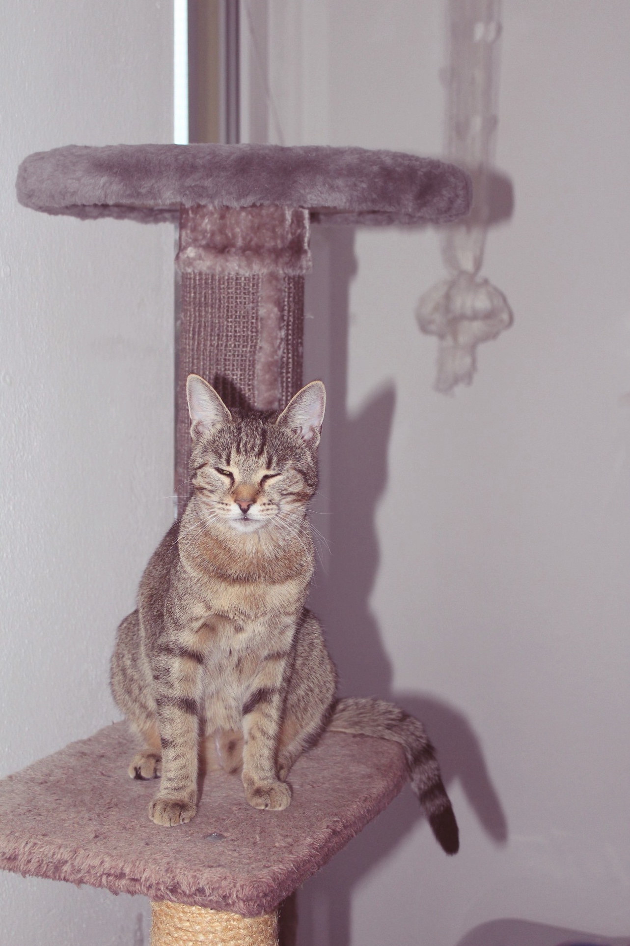Minka