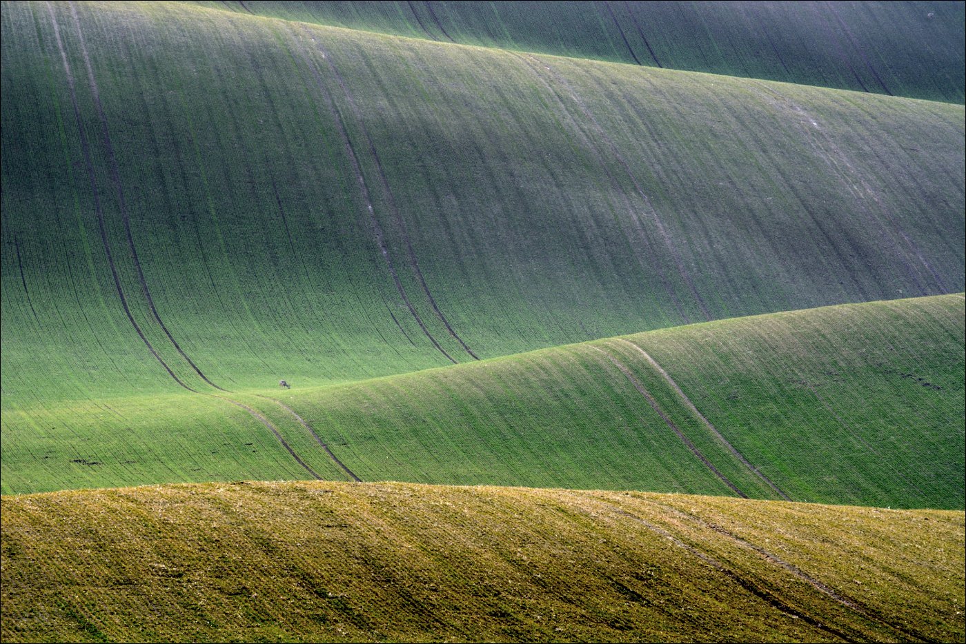 Toskánsko
