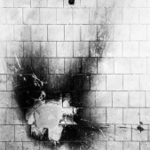 Divoké sny Maxipsa Fíka