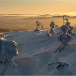 Podvečerní světlo