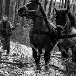 Koňská sila - 2