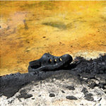 ZONA 2 -  bota a kyselina