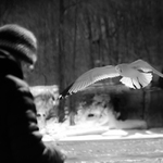 teta, nemate neco do zobaku.../