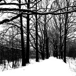 zimní cesta č. 525