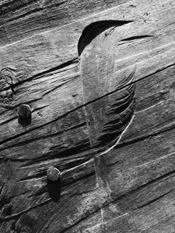 podvečerní pěnice černohlavá kubistická