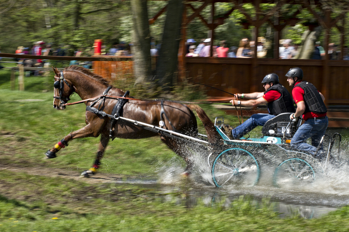 Rudolfův pohár