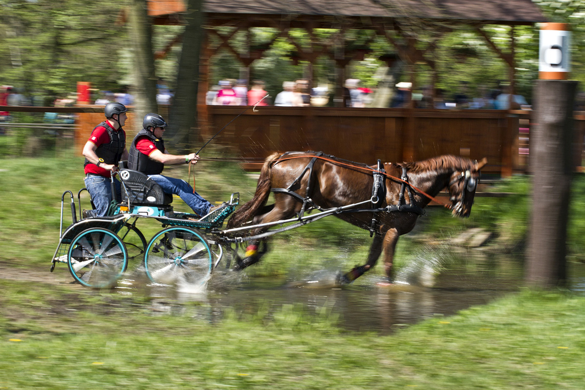 Rudolfův pohár II